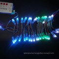 Pixel LED Strip Christmas Lighting Ws2811 String LED Fiber